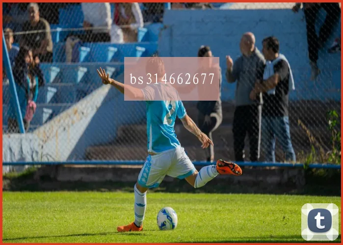 bs314662677